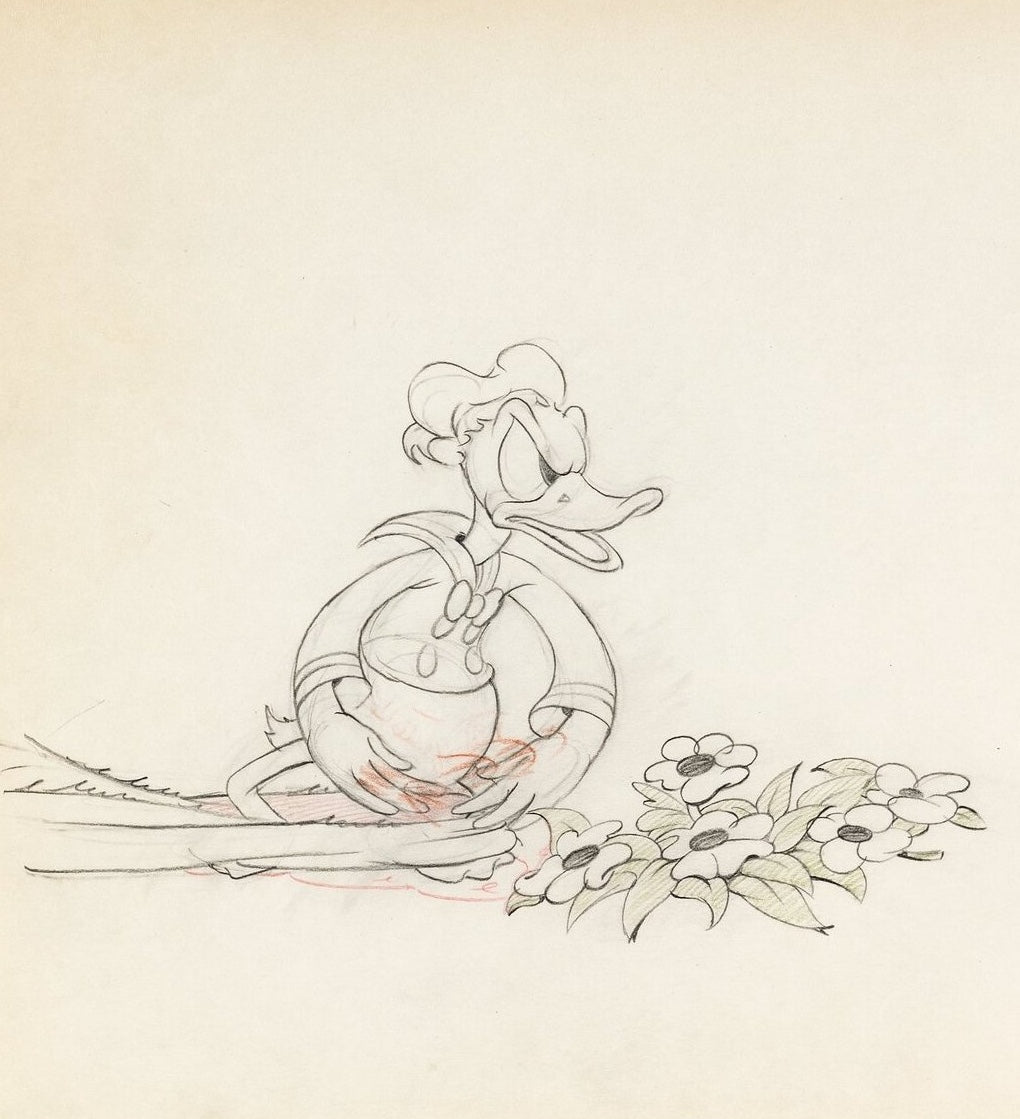 Moose Hunters, dessin de production : Donald Duck (1937)